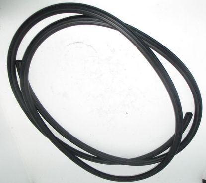 Sunroof seal R25 ZR