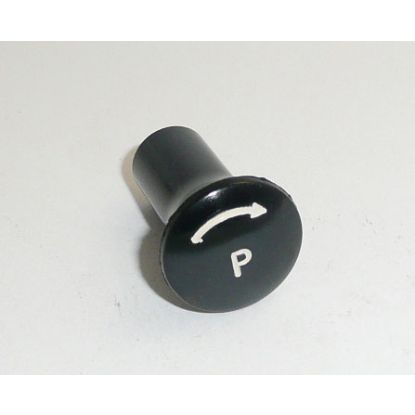 KNOB 'P' PANEL LIGHT SWITCH