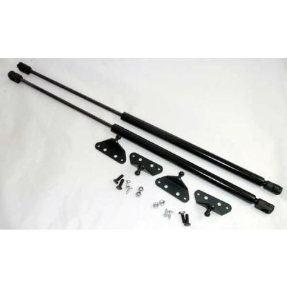 Bootlid gas strut kit