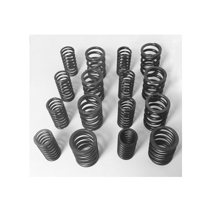 MGA/B Comp valve spring set