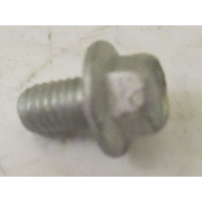 SCREW 