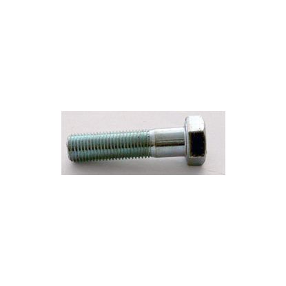 BOLT 10mm S/STEEL