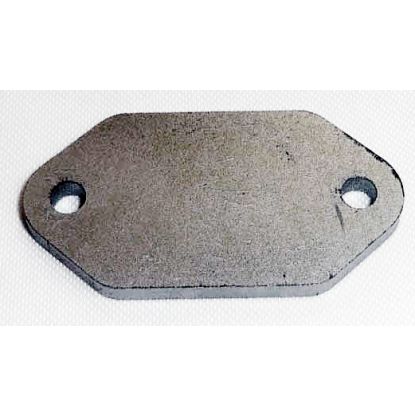 Blanking plate - sensor