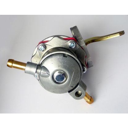 Fuel pump Midget 1500  Non OE to FP50967