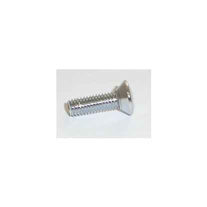 CHROME SCREW