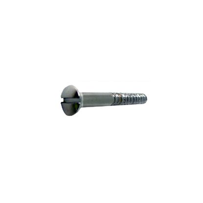 Chrome wood screw slotted