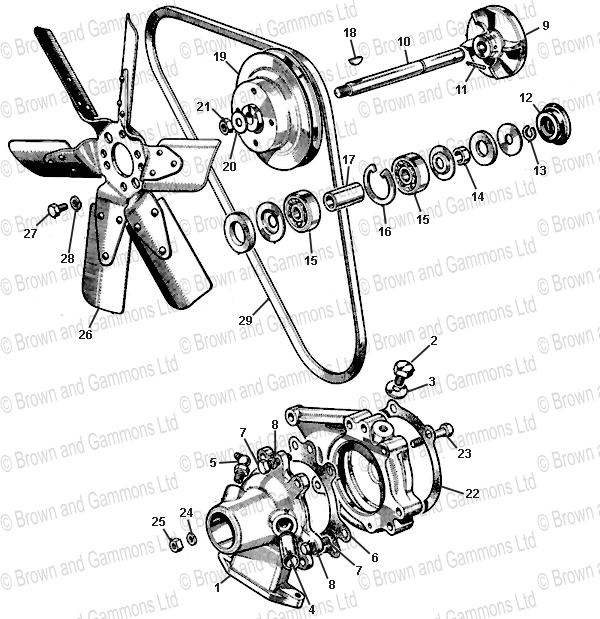 Image for Water Pump & Fan Belt