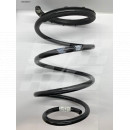 Image for MG6 Front spring (Petrol)