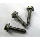 Image for S/S SCREW SET FOR PEP102470SS