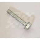 Bolt Flanged HEX set Image for Bolt Flanged HEX set