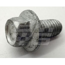 Image for FLANGE HEAD SCREW M6 x 12