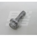 Screw Image for Screw