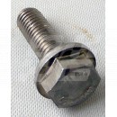 Image for Screw flanged head M8 X 25mm Stainless steel
