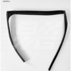Image for Rear Window Channel  Seal LH MG3