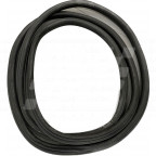 Image for Front Door Seal Body side LH ZS