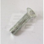 Image for Screw Floorboard T Type 1 inch
