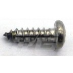 Image for Self tapping screw Stainless Steel