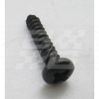 Image for Pozipan screw No6 x 3/4 inch Black