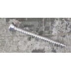 Image for CHROME POZIPAN SCREW No.6x1.5