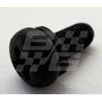 Image for SCREW
