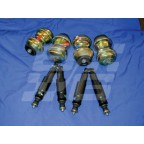 Image for MGF TROPHY SUSPENSION KIT - NLA