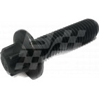 Image for Timing chain bolt MG3