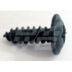 Image for SCREW