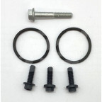 Image for Thermostat housing bolt & Seal Kit