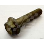 Image for Bolt M10 X 45