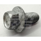 Image for FLANGE HEAD SCREW M6 x 12