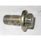 Image for Screw Flange head M10 X 20mm