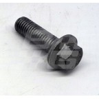 Image for Screw M10