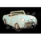 Image for PIN BADGE FROGEYE LIGHT BLUE