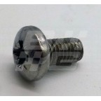 Image for CHROME POZIPAN SCREW 10UNF