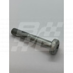 Image for Bolt - Torx pan M10x65