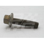 Image for Screw suspension MGF