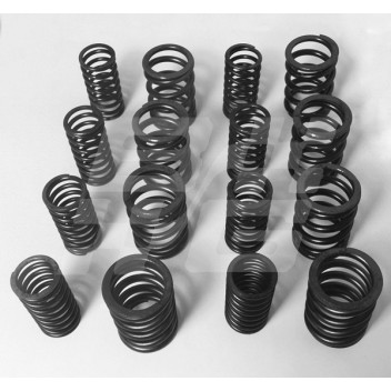 Image for VALVE SPRING SET(DOUBLES) A B