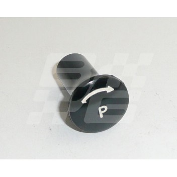 Image for KNOB 'P' PANEL LIGHT SWITCH