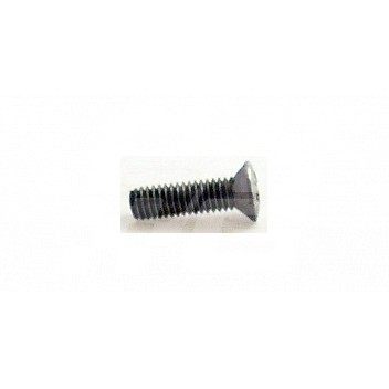 Image for Chrome headlamp rim screw TD-MGA