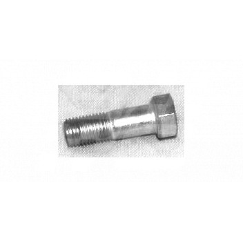 Image for BOLT CALIPER TO STUB AXLE MGB