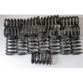 Image for COMPETITION VALVE SPRING KIT