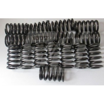 Image for K engine Competition valve spring set(16)