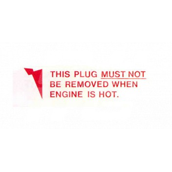 Image for THIS PLUG MUST NOT BE REMOVED