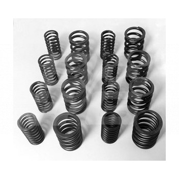 Image for MGA-MGB Uprated comp  valve spring set