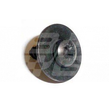 Image for Screw and washer (black)