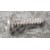 Image for CHROME POZIPAN SCREW No6x0.625