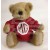 Image for Buster Teddy Bear with Red Jumper