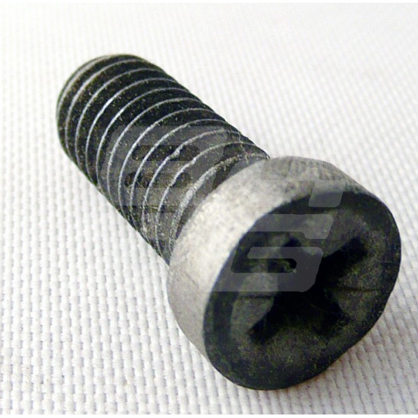 Image for SCREW