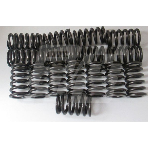 Image for K engine Competition valve spring set(16)