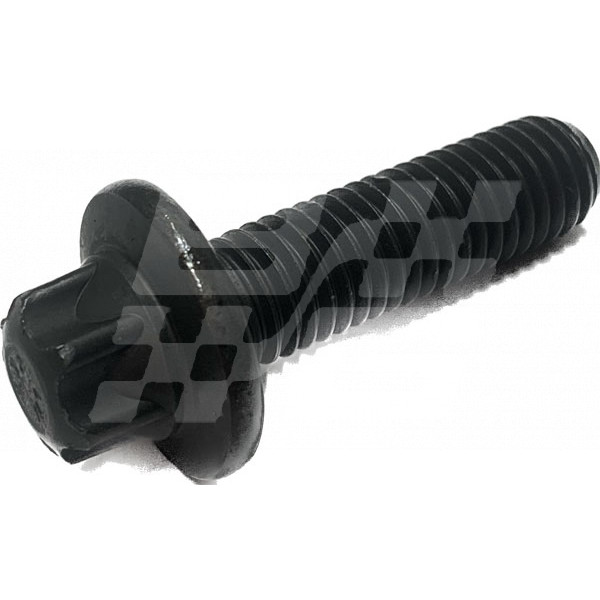 Image for Timing chain bolt MG3